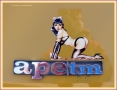 ape_8566_il-tramonto