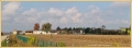 chiarmacis_5255-panorama_il-tramonto