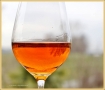 tramonto_8479_il-tramonto-wines