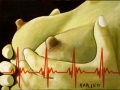 marino salvador_nipples