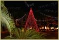 kerstvoorbereidingen_lignano_ad smets_0215