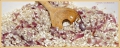 risotto_8975_il-tramonto-culinair