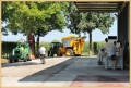 vendemmia Battista II