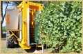vendemmia-battista_2679_il-tramonto