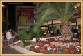 lignano_9308