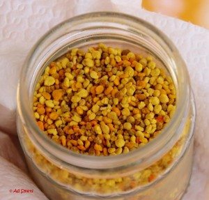 il tramonto_bijenpollen_foto ad smets_1052